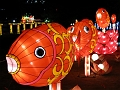 GEG (58)_LanternFestival